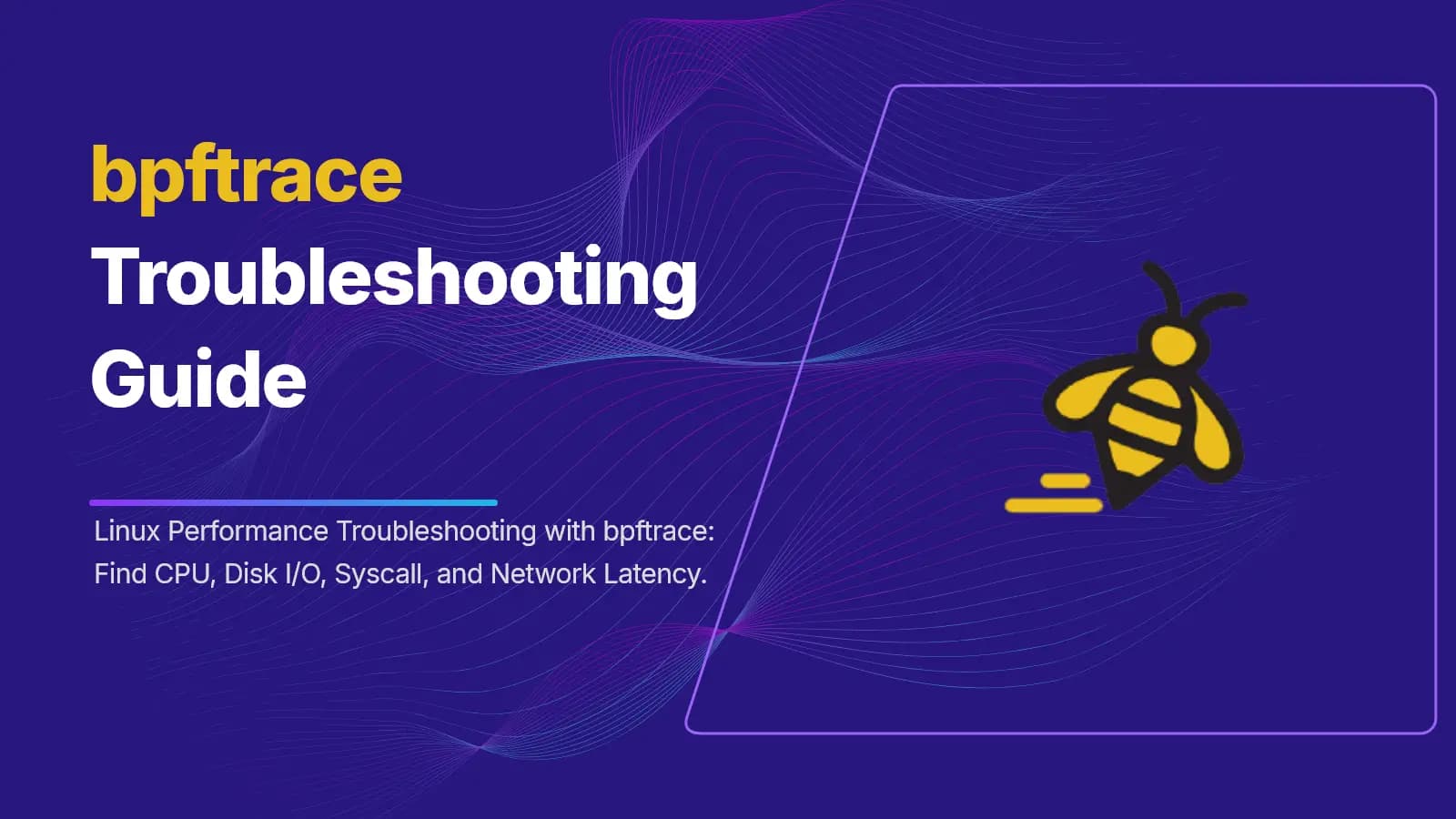 bpftrace Scripts for Linux Servers
