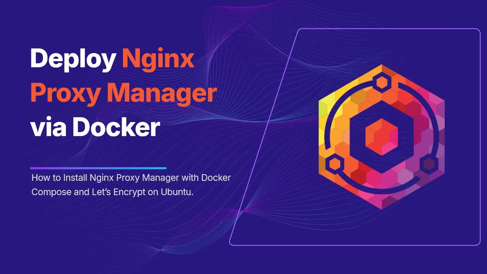 Nginx Proxy Manager Docker Compose
