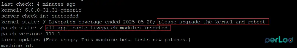 Check canonical livepatch status and applied patches