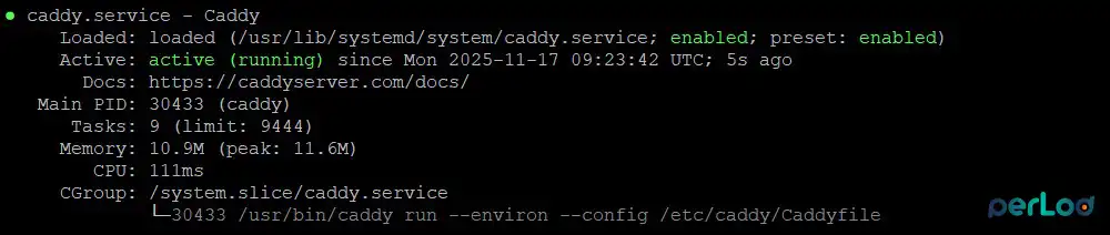 Check Caddy Service Status