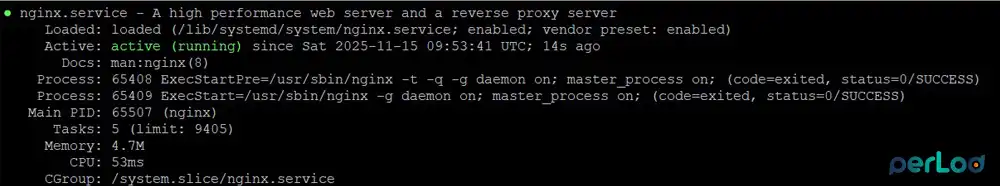 Install and Enable Nginx