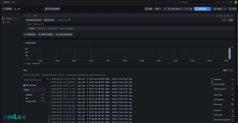 Verify File Logs from Alloy in Grafana
