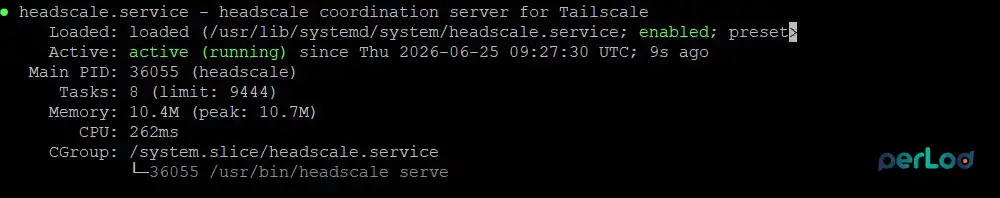 Start and Verify the Headscale Service