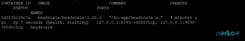 Check Headscale Container status