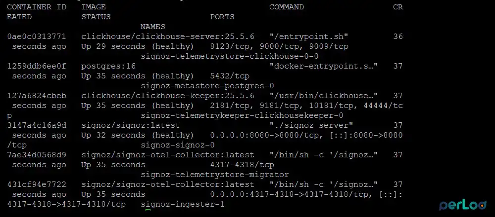 Verify the SigNoz Deployment