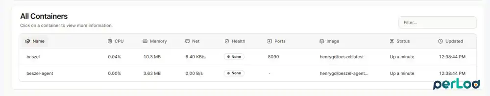 Enable Docker Container Stats in Beszel