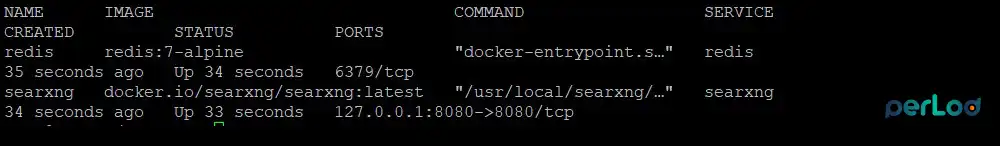Check SearXNG container's status